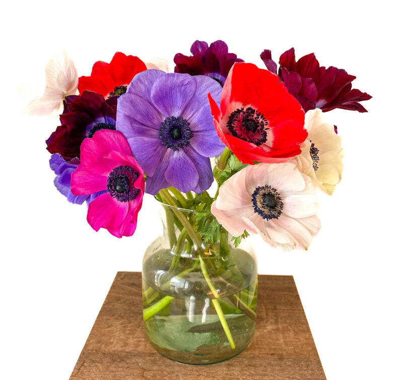 Anemones