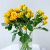 Spray Yellow Baby - Image 2
