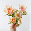 Spray Rose Porcelina (10 St Bunch) - Image 3