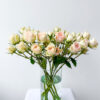Spray Rose Porcelina (10 St Bunch) - Image 4