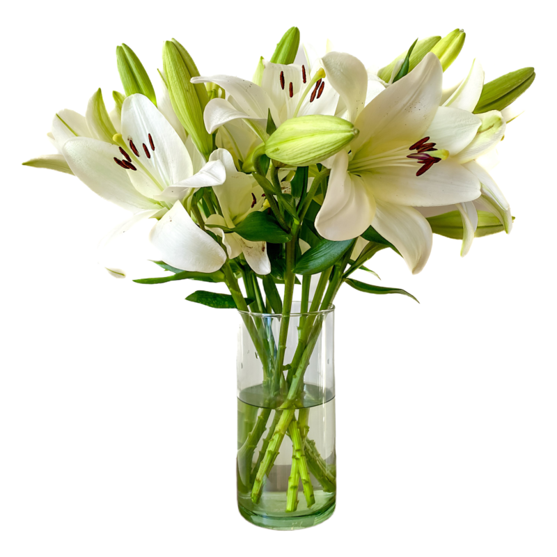 L/A Hybrid Lilies - Image 9