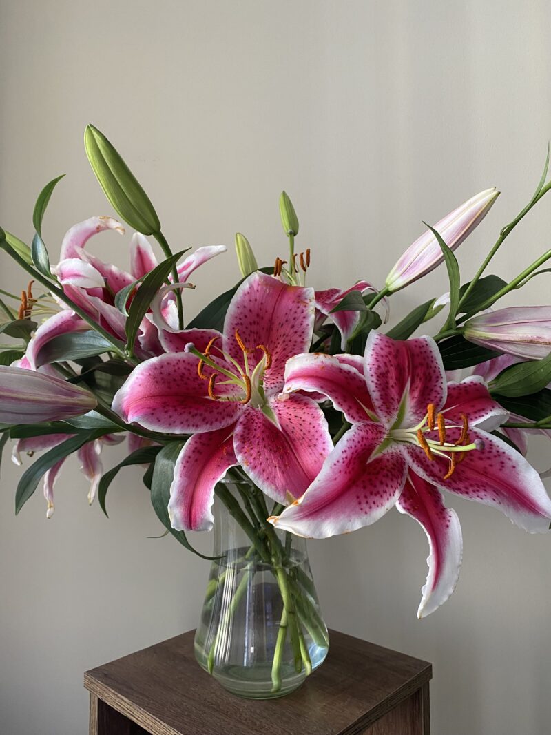 Oriental Lilies - Image 7