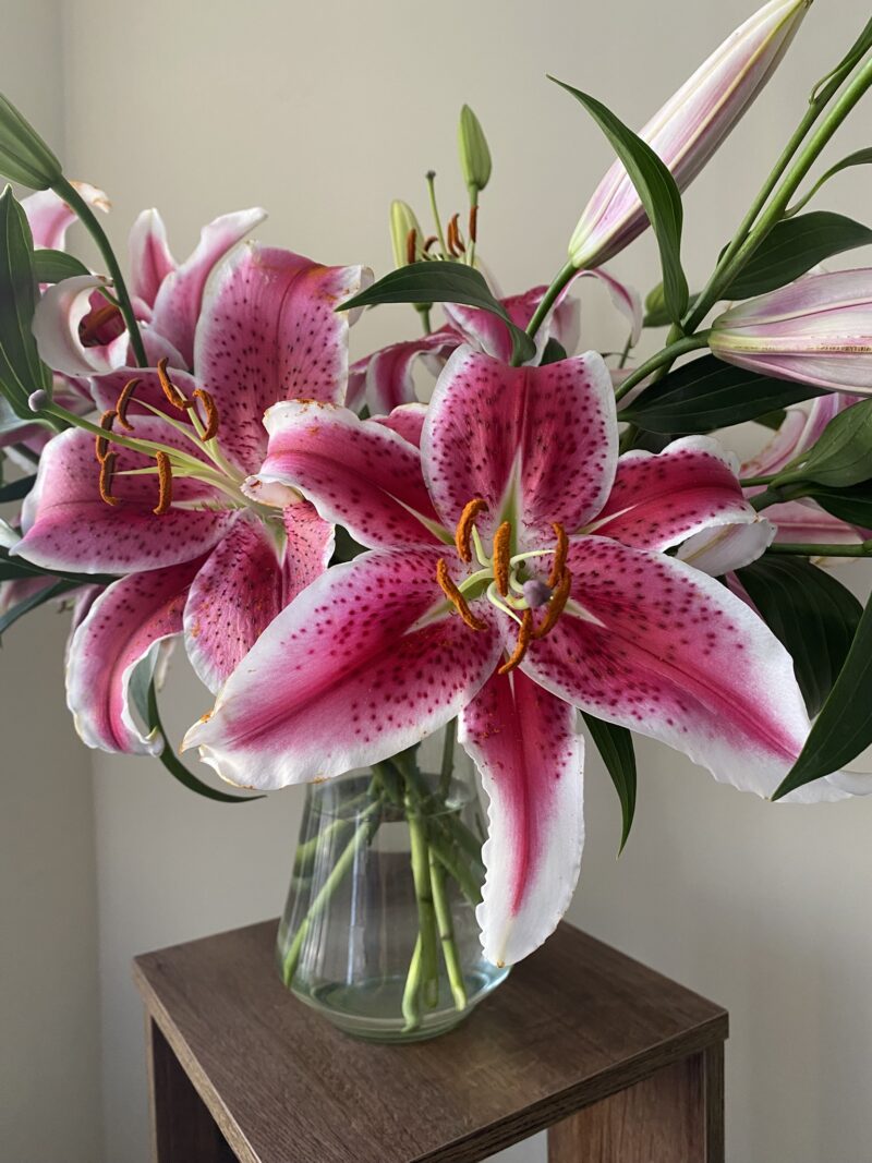 Oriental Lilies - Image 8