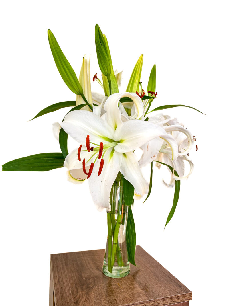 Oriental Lilies - Image 5