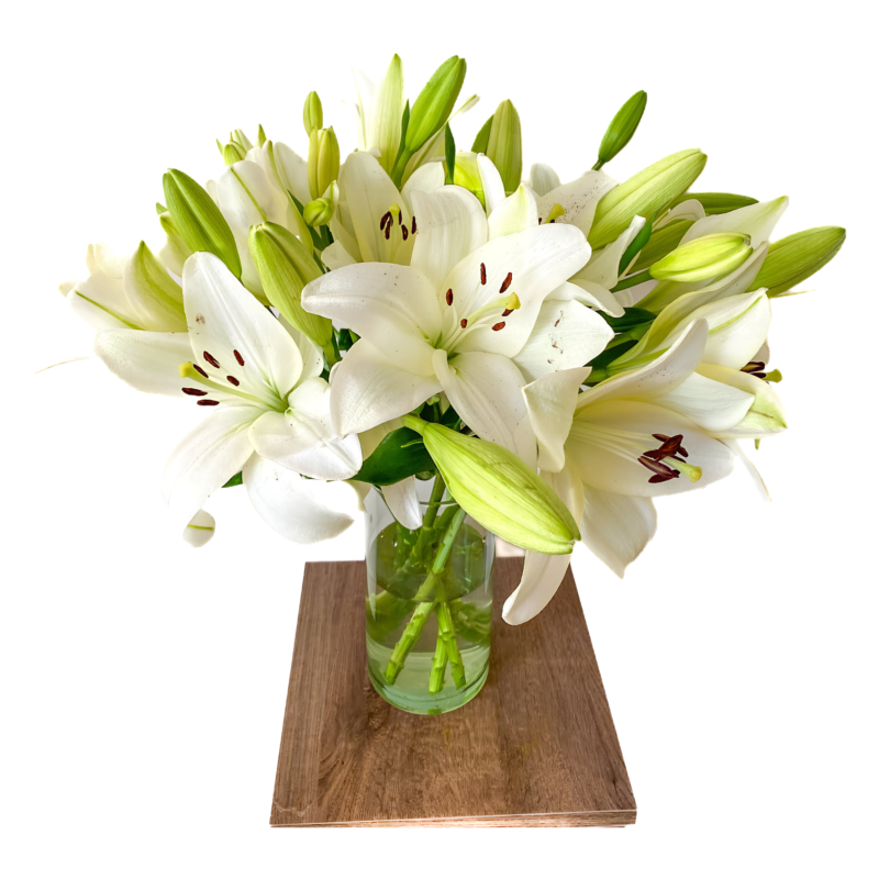 L/A Hybrid Lilies - Image 10