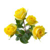 Spray Golden Blossom
