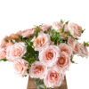Spray Be Loving - Image 4