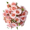 Spray Be Loving - Image 5