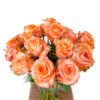 Twilight - Image 5