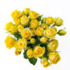 Spray Golden Blossom - Image 2