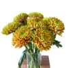 Chrysanthemums - Image 13