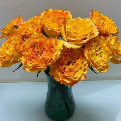 Orange Reeva (25 St Bunch)<span> - </span>40cm