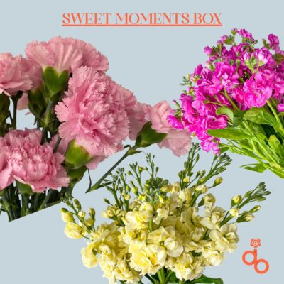 Sweet Moments Box