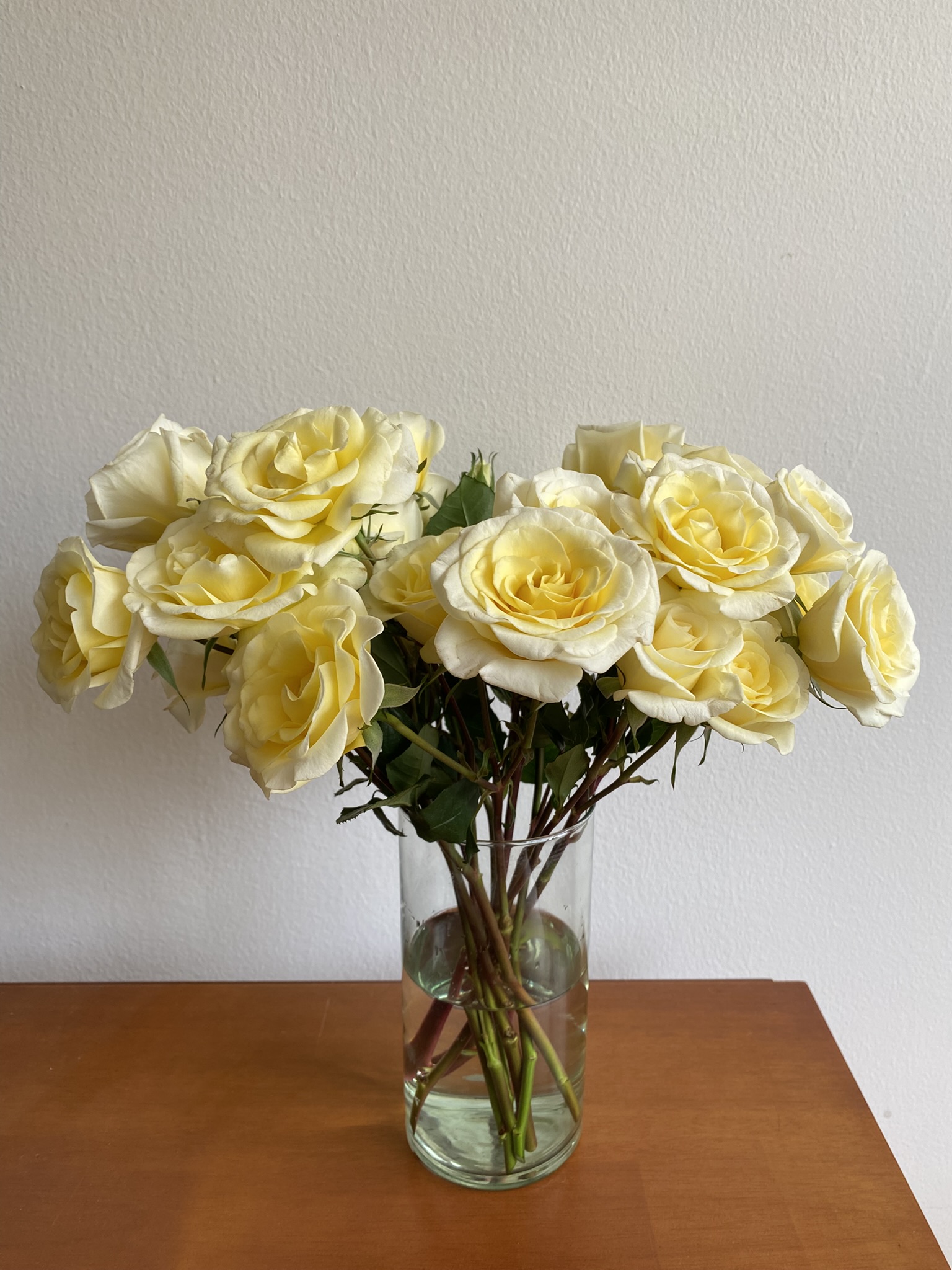 Spray Rose New Moon - Image 6