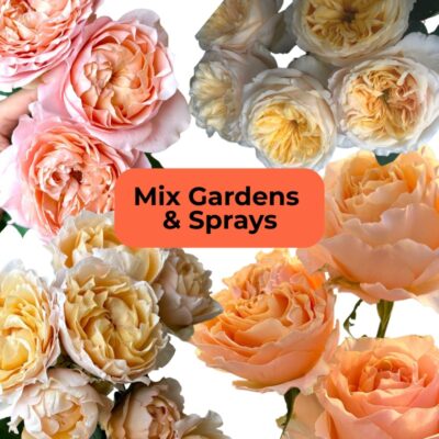 Garden & Spray Mix Box