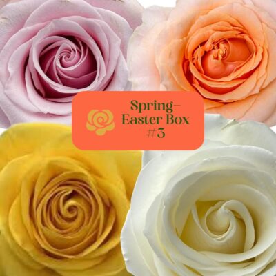Spring Easter Box #3