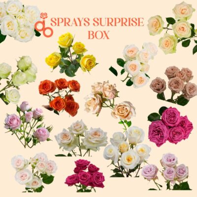 The Sprays Surprise Box!