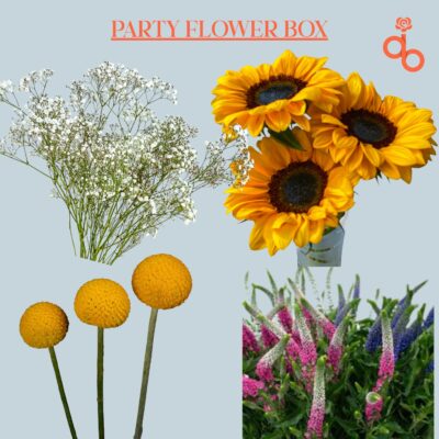 The Party Flower Box